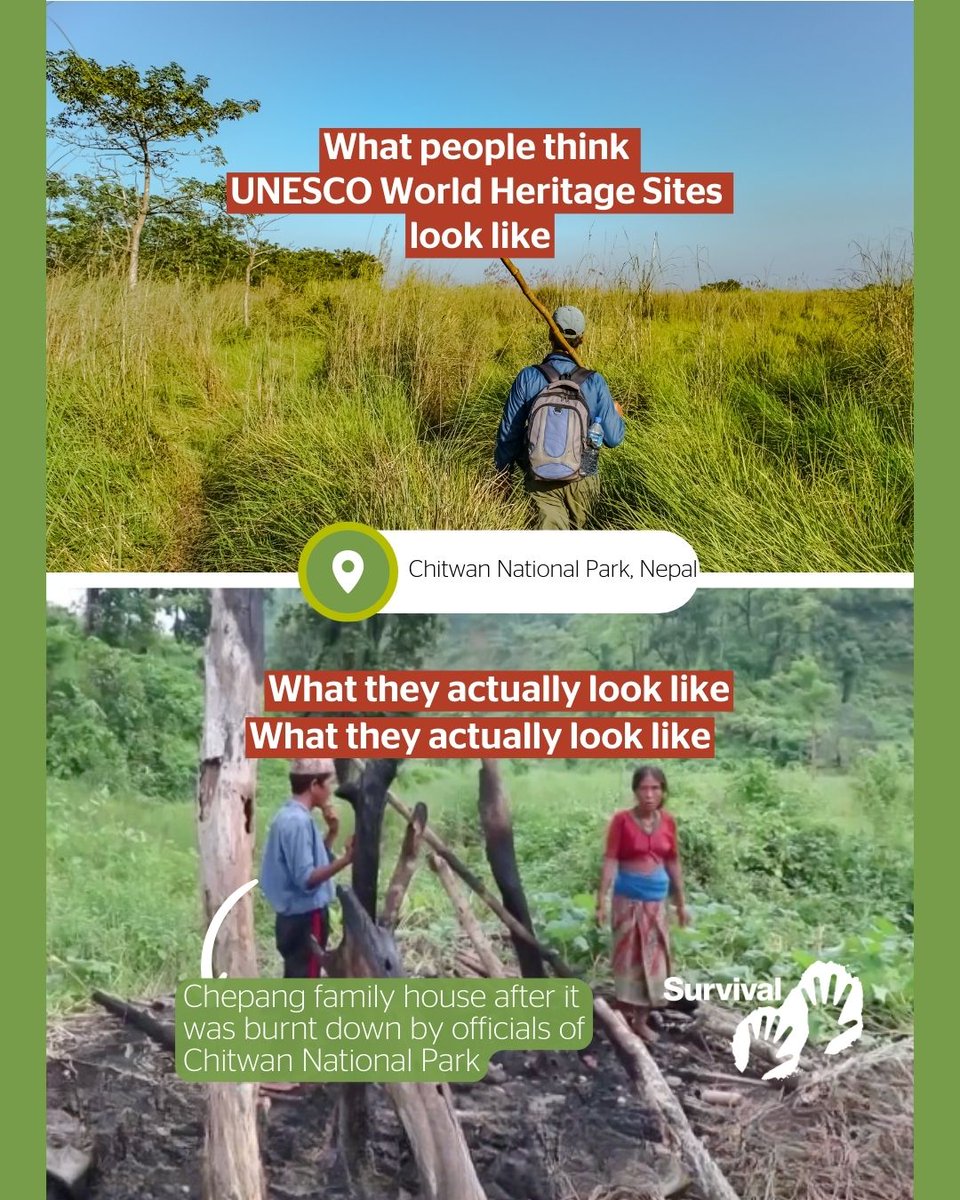 They’re beaten, raped, abused, and even killed when they try to access their ancestral lands. All of this in the name of “conservation”.

Share this post with #DecolonizeUNESCO, tag @UNESCO & learn more: svlint.org/unescoreport