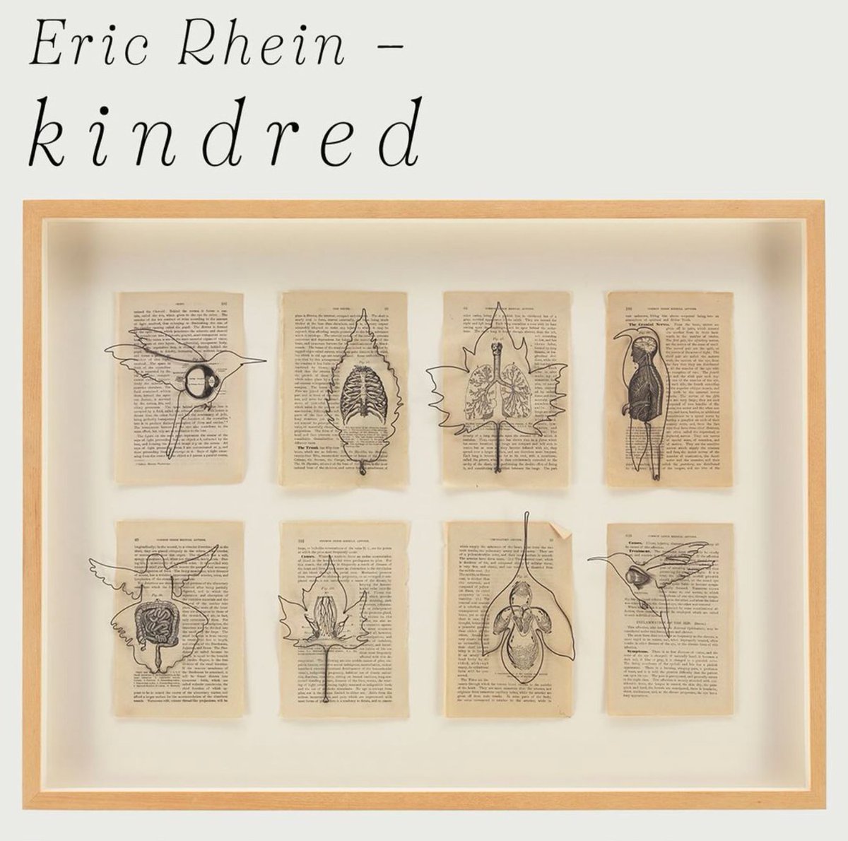 'Kindred,' alumnus Eric Rhein's (@SVAMFAFineArts) solo exhibition, kicks off @ManaContemp’s new program, Mana Highlights. See it in Jersey City until July 19! bit.ly/3Jf4TkG