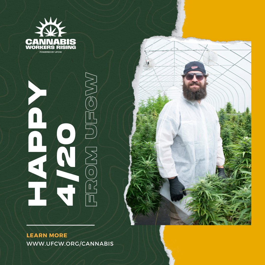 Happy #420! Did you know? @UFCW is the cannabis workers union! Today, as we celebrate the culture and progress of this industry, let's also honor the hard work & dedication of all cannabis workers striving for fair treatment, safer workplaces, & a thriving industry for all.