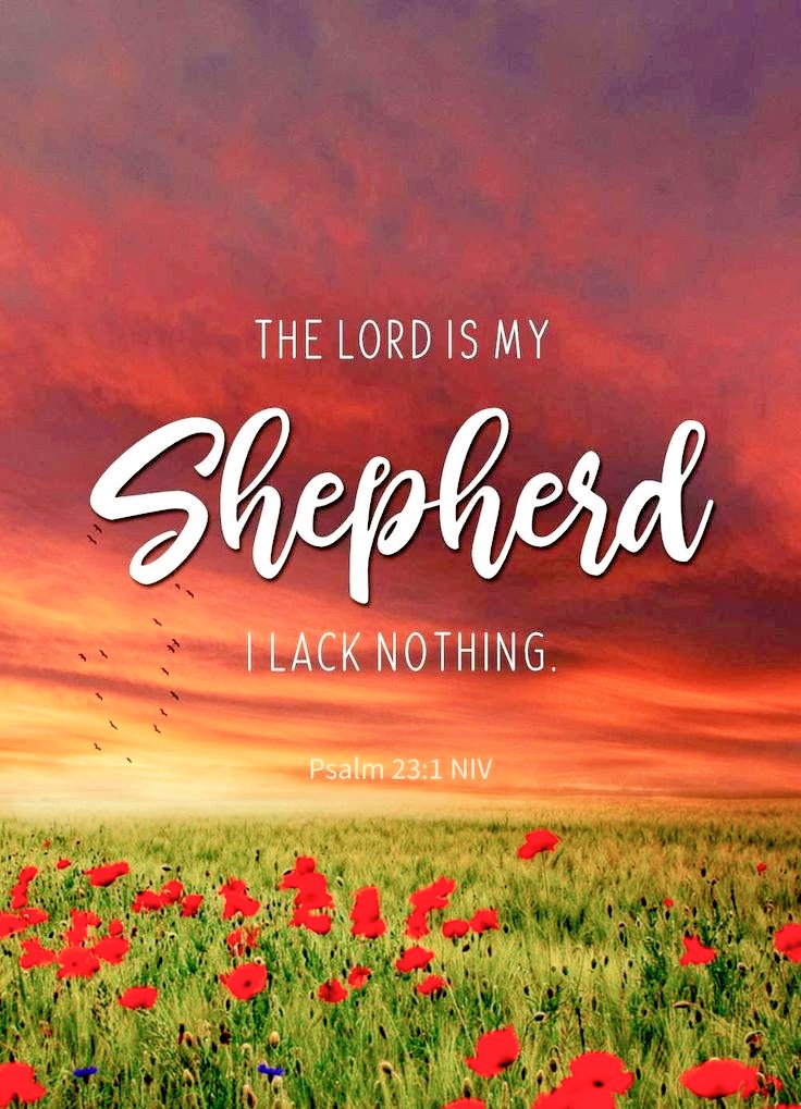 I praise You, Lord God, and I stand on Your faithful promise that You are my Shepherd and I have what I need. ❤️ 'The Lord is my shepherd; I shall not want.' Psalm 23:1❤️ #Amen❤️