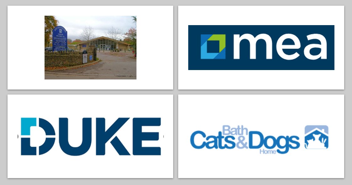 CW Duke Ltd tweet media