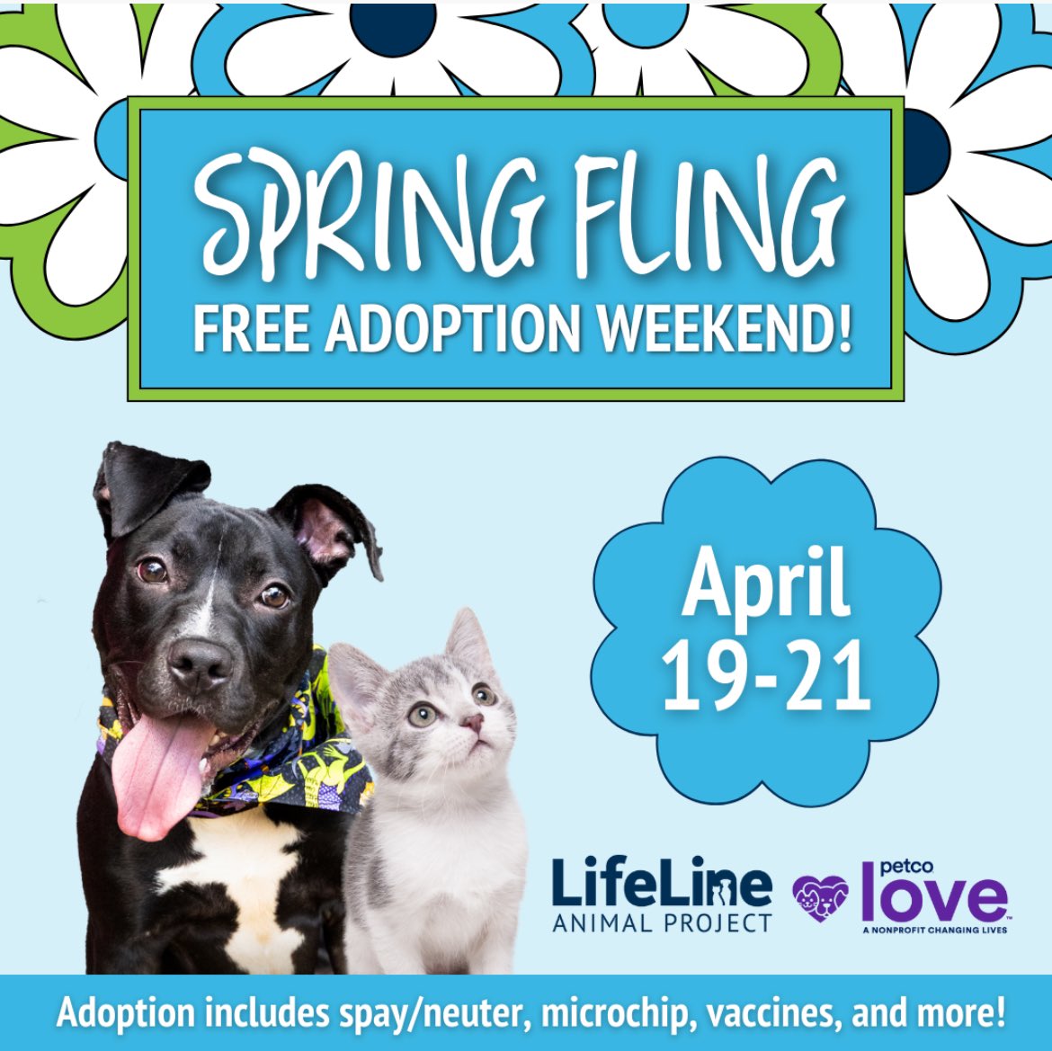 🌸 Love is in bloom during Spring Fling Free Adoption Weekend, @lifelineanimal April 19th - 21st! 🐾Thanks to Petco Love, adoptions are fee-waived for all pets in LifeLine shelters and foster homes!