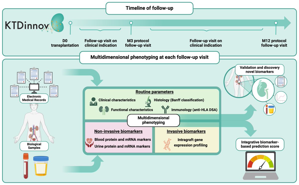 Paris Transplant Group (@paristxgroup) on Twitter photo 🔥 Check out this new paper released in <a href="/SpringerNature/">Springer Nature</a> European Journal of Epidemiology!
<a href="/KTDInnov/">KTD-innov</a> is an essential <a href="/AgenceRecherche/">ANR - Agence nationale de la recherche</a> study for transplant patients, funded by the French Government <a href="/gouvernementFR/">Gouvernement</a> 🇫🇷
<a href="/GabrielAttal/">Gabriel Attal</a> <a href="/sretailleau/">Sylvie Retailleau</a> <a href="/fredvalletoux/">Frédéric Valletoux</a> <a href="/AlexandreLoupy/">Alexandre Loupy</a> 🔥 Check out this new paper released in <a href="/SpringerNature/">Springer Nature</a> European Journal of Epidemiology!
<a href="/KTDInnov/">KTD-innov</a> is an essential <a href="/AgenceRecherche/">ANR - Agence nationale de la recherche</a> study for transplant patients, funded by the French Government <a href="/gouvernementFR/">Gouvernement</a> 🇫🇷
<a href="/GabrielAttal/">Gabriel Attal</a> <a href="/sretailleau/">Sylvie Retailleau</a> <a href="/fredvalletoux/">Frédéric Valletoux</a> <a href="/AlexandreLoupy/">Alexandre Loupy</a>