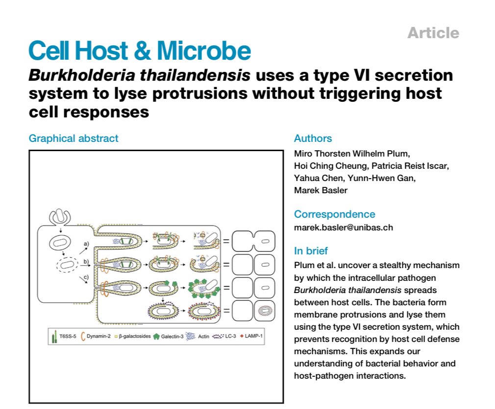 Christy Cheung (@christy_chc) on Twitter photo Our paper is online now! 🥳 Huge congratulations to <a href="/PlumifyM/">Miro Plum</a> , the first author of this paper. It was super fun working on this with you 😊
Burkholderia thailandensis uses a type VI secretion system to lyse pro... sciencedirect.com/science/articl… Our paper is online now! 🥳 Huge congratulations to <a href="/PlumifyM/">Miro Plum</a> , the first author of this paper. It was super fun working on this with you 😊
Burkholderia thailandensis uses a type VI secretion system to lyse pro... sciencedirect.com/science/articl…