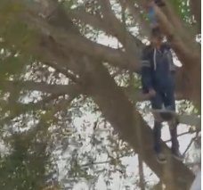 CADAVER DE MUJER colgando de un árbol, encontrado esta mañana en Boulevard Poma, Antiguo Cuscatlan. ESTO YA HUELE A MODUS OPERANDI DE ASESINOS. Demasiados ahorcados ha habido desde principios de año. Cada semana hay cuatro o cinco...