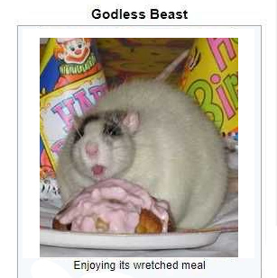 ❤️🐀 venus 🐀🧡 (@venuslovesrats) on Twitter photo 