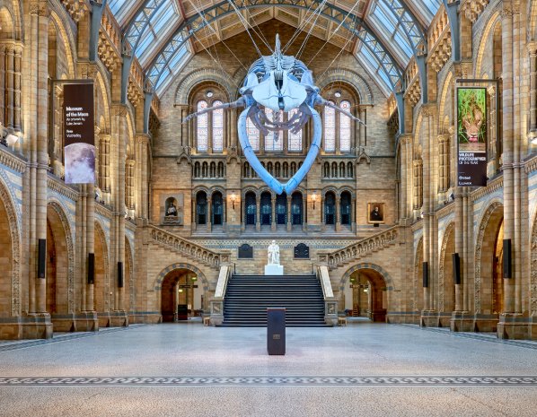 Let us know how many you can find in this one! #OnThisDay 143 years ago, the Natural History Museum opened to the public for the first time. This historical photograph was taken one year later in 1882, before Hintze Hall (then known as Central Hall) was filled with exhibits.