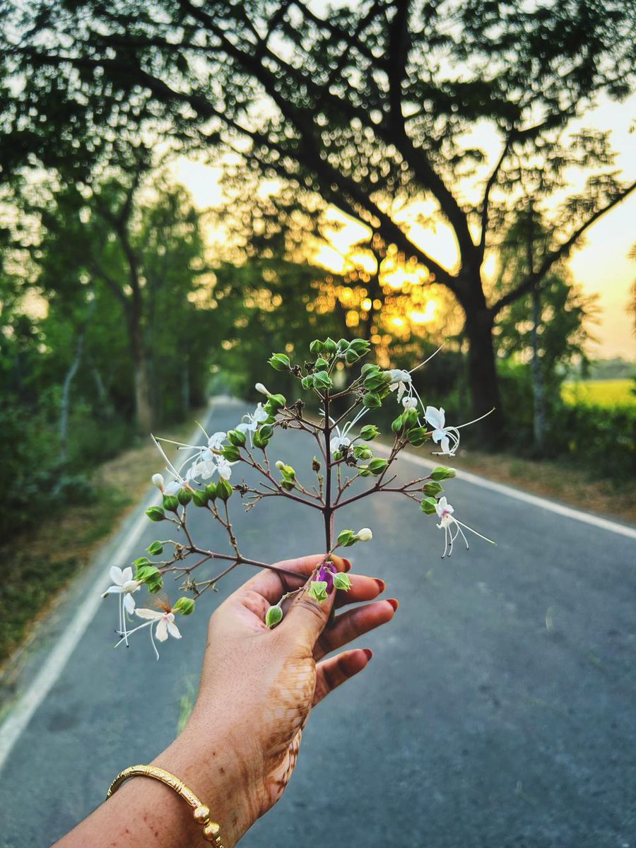 MoniShuvra's tweet photo. ভাঁট আঁশ শ্যাওড়ার বন-
বাতাসে কী কথা কয় বুঝি নাকো,
বুঝি নাকো চিল কেন কাঁদে, 
পৃথিবীর কোনো পথে দেখি নাই আমি
হায়! এমন বিজন।🌼🌼 https://t.co/kb6notqvUP
