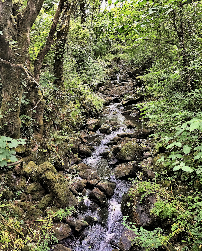 Maisie wanted to have a picnic by the stream they call ‘the otter’s path’. She said it was a beautiful spot. I wasn't fooled. She really wanted to see if a Wartoth – Hookland's legendary giant sabred-toothed otter – would pass us by. – #MattAdams, 1982