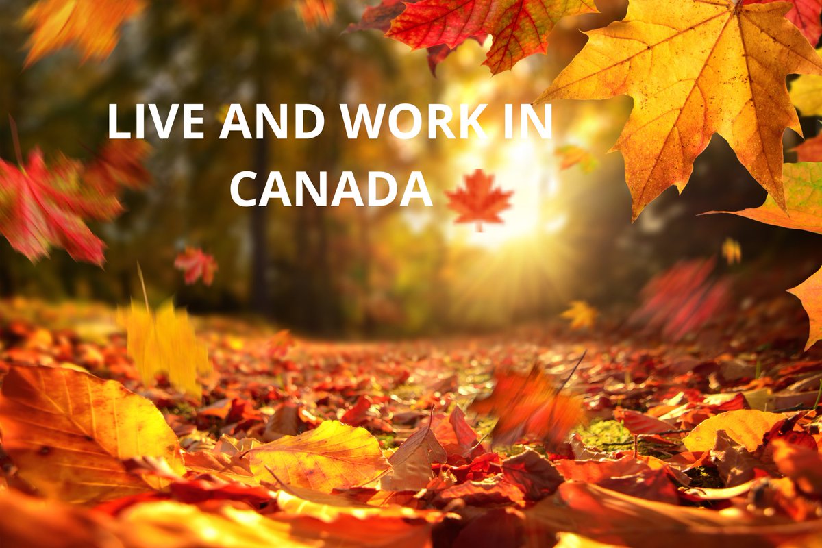 🍁The Embassy of Canada in Senegal is organizing a virtual information session 'Living and working in Canada'. 🗒️Tuesday, April 30th 2024 ⏰ 11am-12:30pm Dakar time Registration 👉 shorturl.at/tzJN3