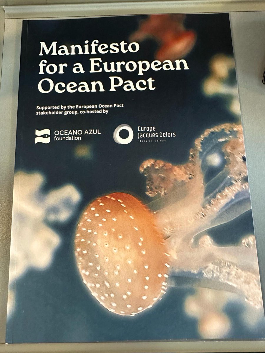 Yesterday marked my end-of-mandate conference 'Towards a European Ocean Pact', an opportunity to address the maritime issues that must be on top of the agenda for the next @EUparliament legislature and to launch the Manifesto of @DelorsEurope @OceanoAzulF Thank you to all! 🌊