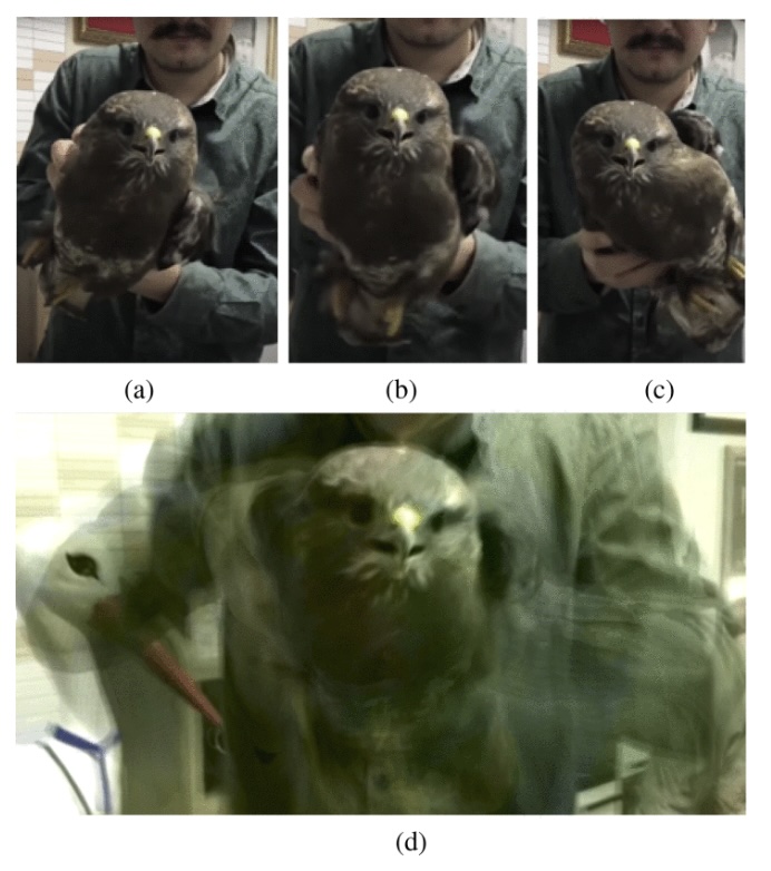 IeeeTro's tweet image. In a recent T-RO paper, researchers from @UBuffalo and @UF describe a novel MEMS mirror to change the field of view of LiDAR independent of #robot motion which they show can drastically simplify #robotperception
ieeexplore.ieee.org/document/10453…
#RobotSensingSystems #RobotVisionSystems