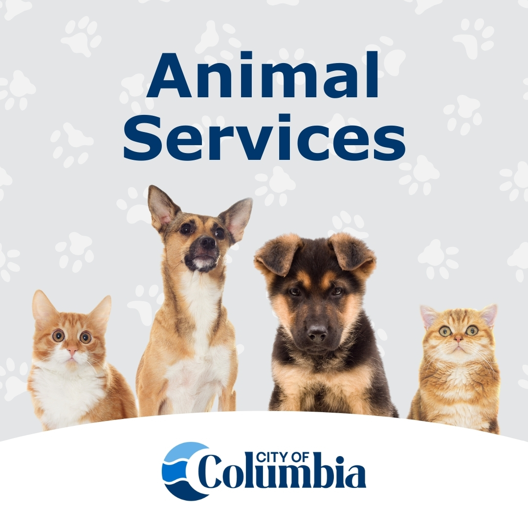 Through their many education and outreach programs, our Animal Services department seeks to promote responsible pet ownership within our community. Learn more by visiting our website: animalservices.columbiasc.gov #TogetherWeAreColumbia