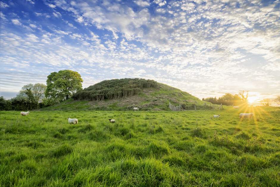 Happy #WorldHeritageDay! There's no better way to explore Ireland's rich history that through its UNESCO World Heritage Sites. 

📍Skellig Michael, County Kerry 
📍Giants Causeway, County Antrim
📍Brú na Bóinne, County Meath