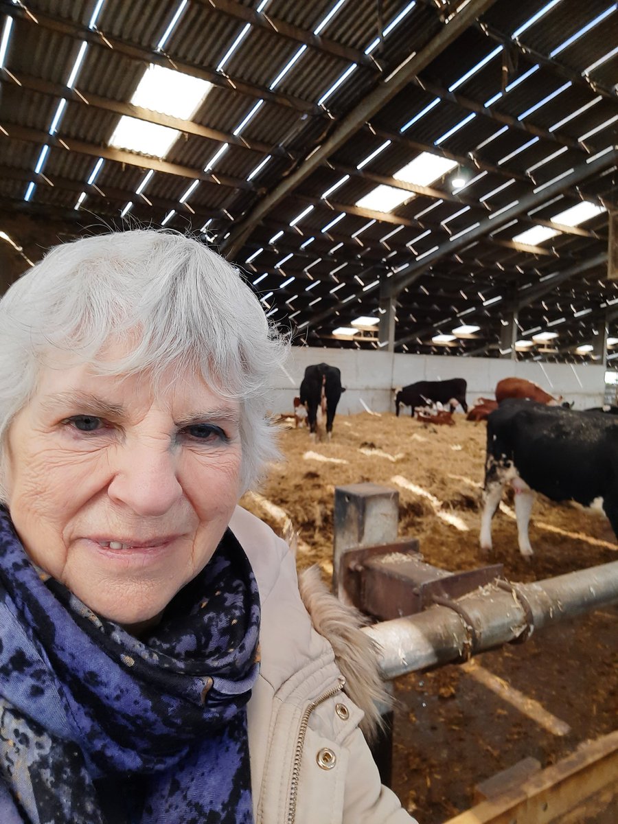 It's not very often that an Islington councillor gets to visit a farm as part of their duties! This was part of a tour of the Lee Valley; I am a member of the Regional Authority.
