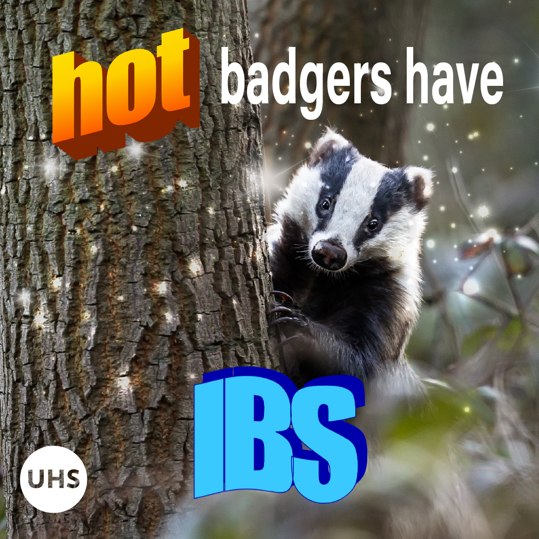 UHS UW-Madison (@uhsmadison) on Twitter photo 