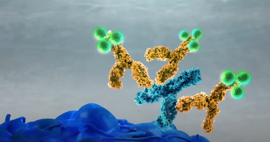 Discover the key considerations for creating an optimized antibody panel for cell enumeration with CTCs and rare cells captured with Celselect Slides™ with our Quick Guide. Download the step-by-step guide: ow.ly/RBza50RgMcs

#CTCs #cancer #singlecell #enumeration #antibody