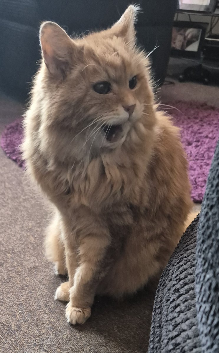 RED'S JEWELS tweet media