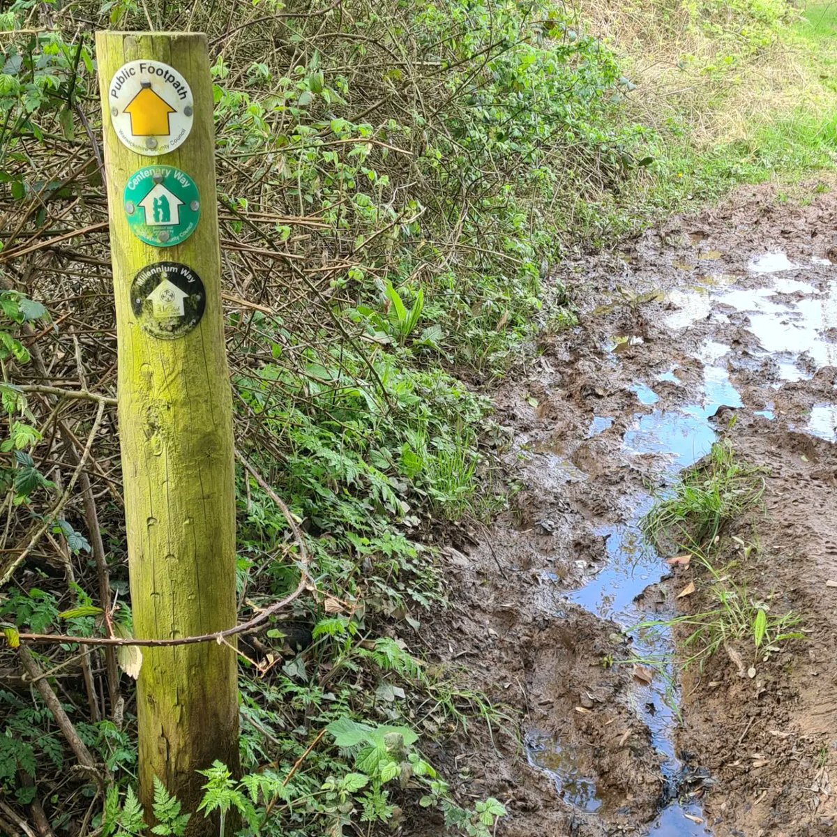 pjrookes's tweet photo. Completed 36 of 44 Millenium Way circular walks, donating £20 to Target Ovarian Cancer for each walk completed and raising the profile of Ovarian Cancer as people quite often stop me to ask about it.
 #milleniumway #targetovariancancer #warwickshireramblers #sbramblers #ramblers https://t.co/hGHAZpF4s7