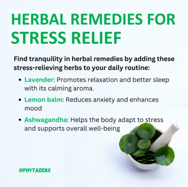 🌿Find tranquility in herbal remedies by adding these stress-relieving herbs to your daily routine🍵
.
.
#herbalmedicine #naturalmedicine #NFTCommunity