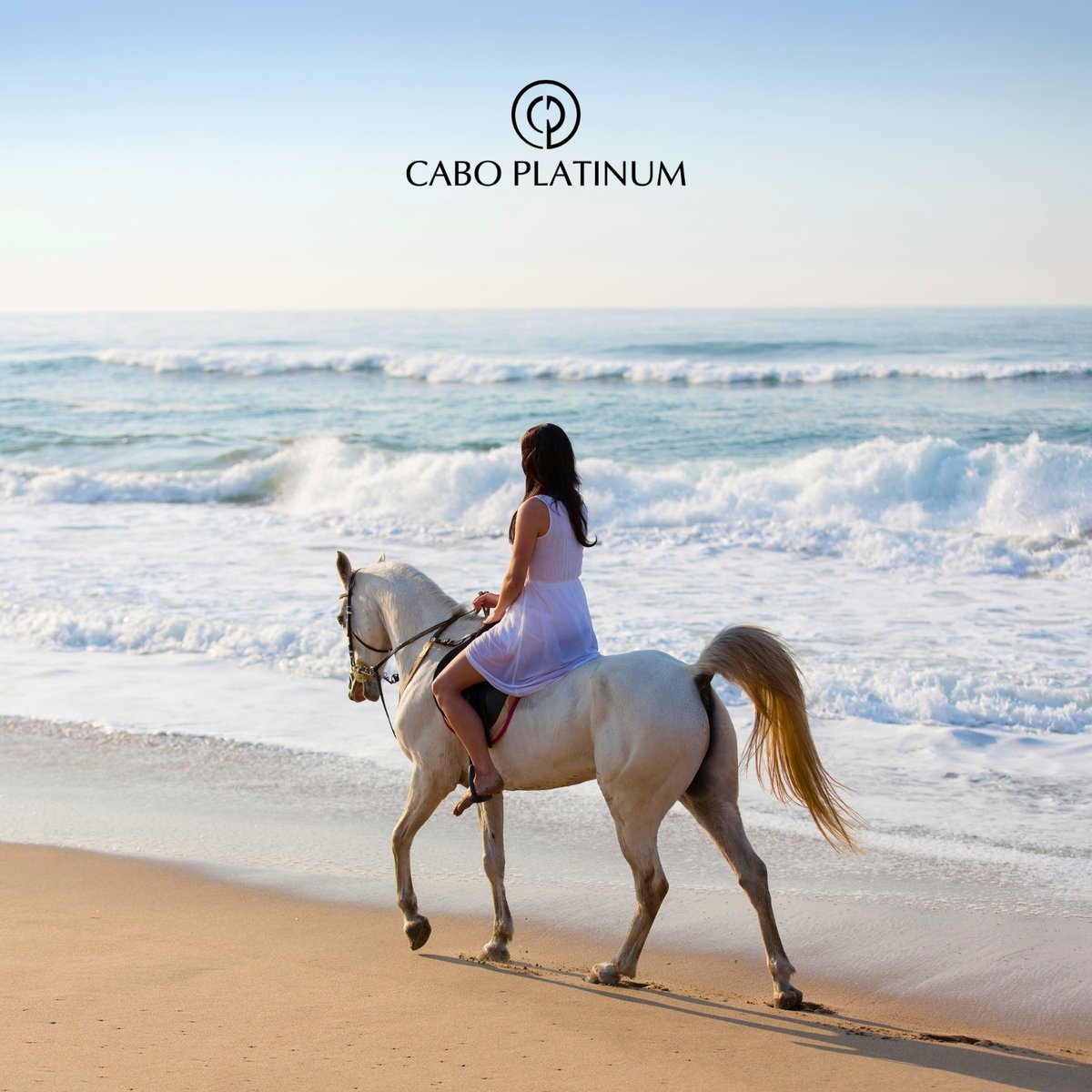 Let Cabo Platinum take you on a journey through stunning landscapes, pristine beaches, and rugged terrain, all on horseback.

Book your dream vacation: caboplatinum.com

#caboplatinum #luxuryrentals #luxuryvacations #concierge #loscabos #horsebackriding #adventure
