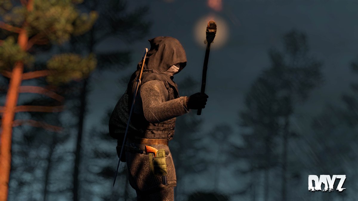 DayZ 🖥 🎮 ❤️ tweet media