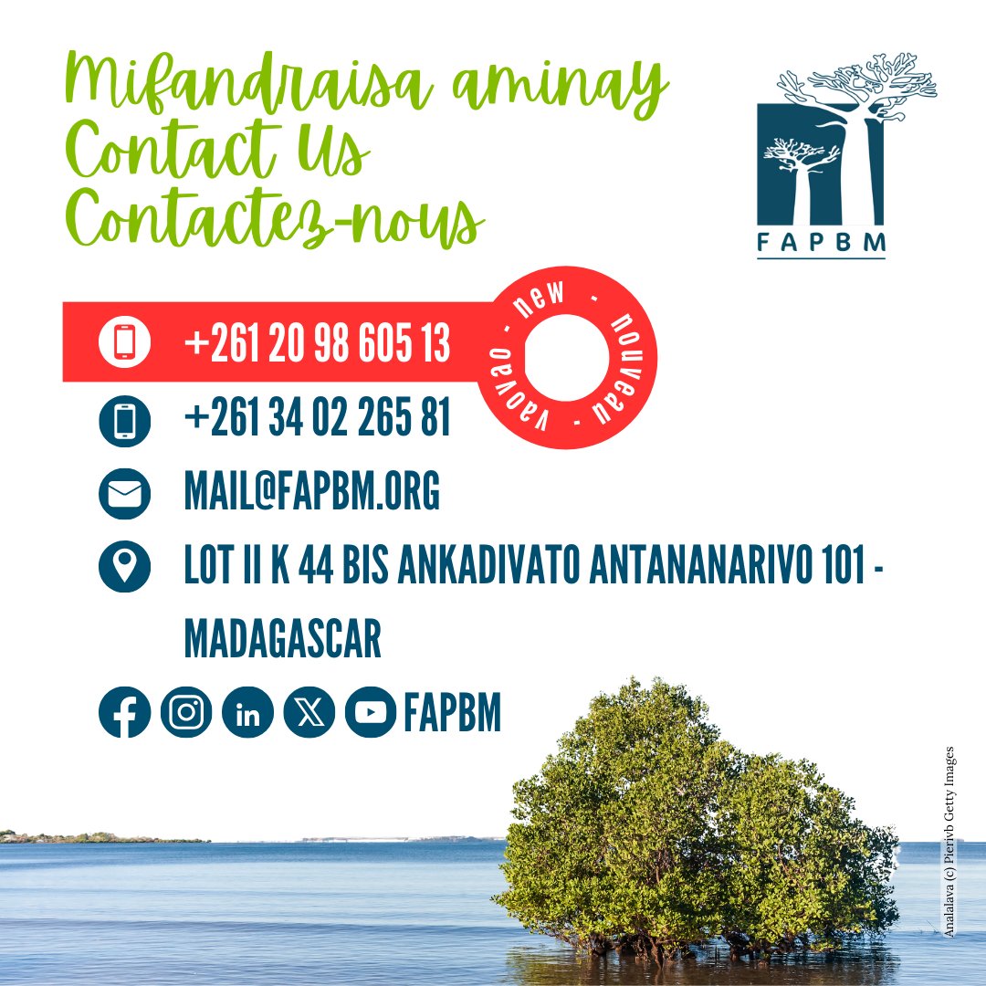 ☎️ New FAPBM switchboard
 
FAPBM's +261 20 22 605 13 line is no longer operational. FAPBM team can now be reached via its new switchboard: +261 20 98 605 13
 
#Madagascar #biodiversity #protection #conservation #ProtectedAreas #FinancialResilience