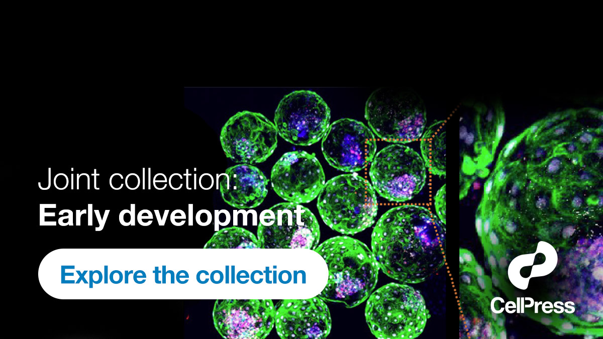 Joint collection: Early development hubs.li/Q02tjqb_0 A @CellStemCell and @stemcellreports collection of papers presenting an exciting snapshot of the current state of the art of embryology in vitro. @ISSCR @martinperaJAX