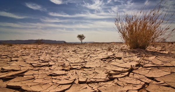 brianhugstrees's tweet image. Sometimes people tell me when I talk about climate change that it is “wishful thinking”. Climate scientists &amp;amp; activists wish we were wrong. Wishful thinking is thinking that your god, your government or corporations will do something to save you. #climateapocalypse