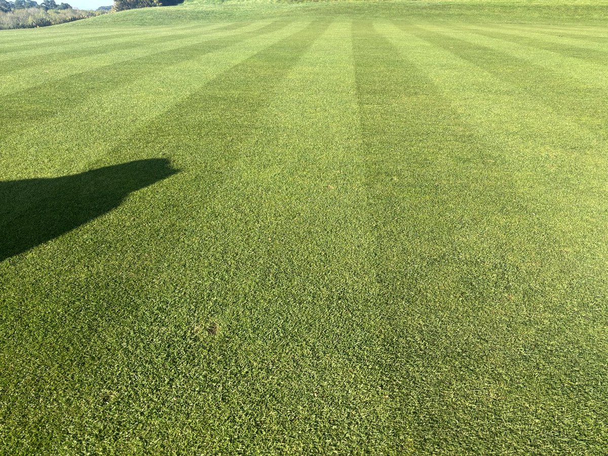 Paul Staples tweet media