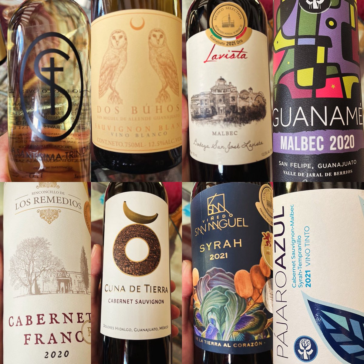 #winesofguanajuato landing for tasting ! From
Sauv BLANCs to Malvasia …. And from Malbecs to Syrah ….the world of wine is so small today ! #charlietastings #winesofmexico 🇲🇽