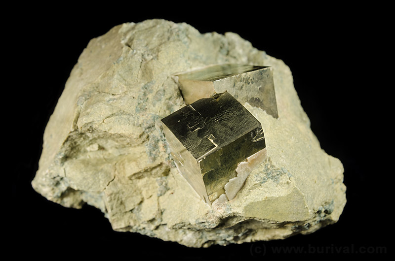 Perfect #Pyrite cubes in claystone from Navajún, Spain.

Size 10.5 x 6.5 cm

#minerals #crystals #mineralcollecting #mineralexpert #rockhounding #mineralogy