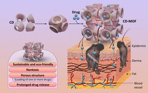 Check out this article in @JMaterChem B from @ThomasScattoli1 @marcord1986 @aliiZarrabi Unlocking the future of skin cancer treatment with cyclodextrin-based systems for improved drug delivery and skin absorption Read it here: pubs.rsc.org/en/content/art…