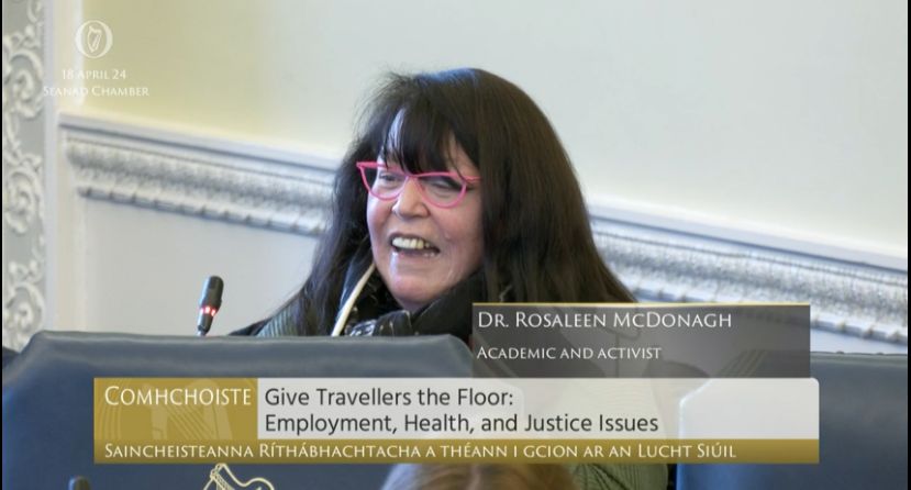 At the Seanad today, @paveebeoir spoke on racism and acknowleded the work that @Love1solidarity does #TravellersTakeTheSeanad