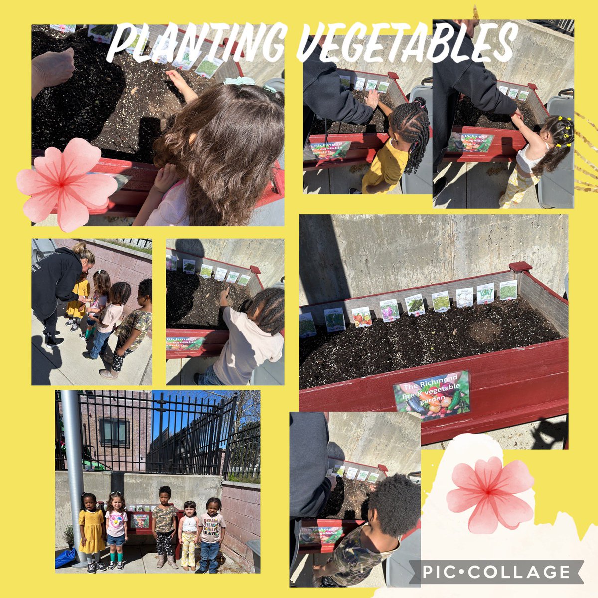 Full day of #greenteam yesterday at #104housmanave we loved planting vegetables in our garden we can’t wait to observe how they grow 🪴 #climateactionday 🌎 @TheRichmondPrek @EdeleWilliams @CSD31SI @CChavezD31 @DrMarionWilson @DOEChancellor