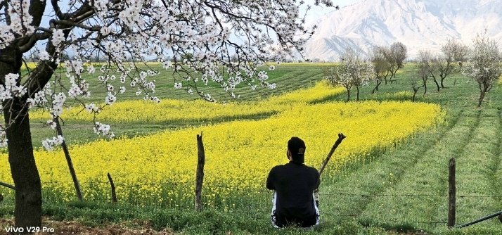 Spring🌱🌷🌸🌱🌷🌸
in Kashmir