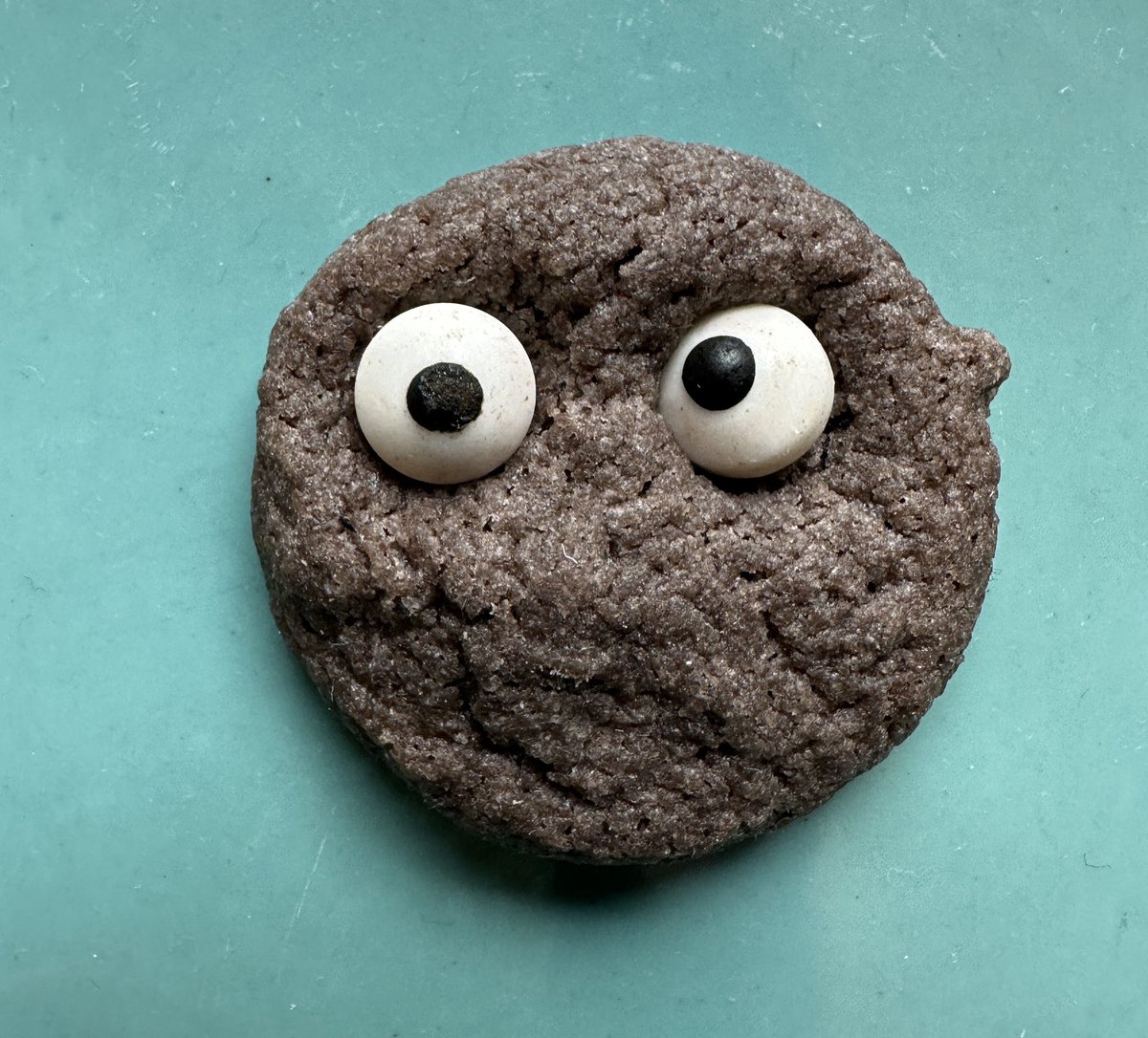 THIS is the cookie that a hippie lady in a park in Vermont gave us the day of the ☀️ eclipse. She said it would help us: “SEE BETTER!” We have not eaten it. I don’t think we should eat it. (At least not ‘til my edits are done. 😉😂!)