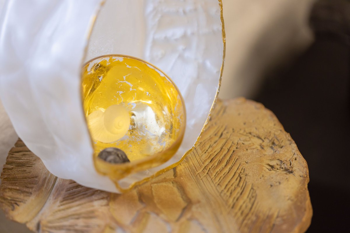 We are honoured to show the work Things we can know (2024) by glass artist Fiona Byrne in our ground floor showcase. The work is the culmination of the inaugural Farnham Craft Town artist residency that Byrne undertook in February-March 2024. #glass <a href="/CraftTownEng/">FarnhamCraftTown</a> <a href="/UCAsurreygall/">UCA Surrey Galleries</a>