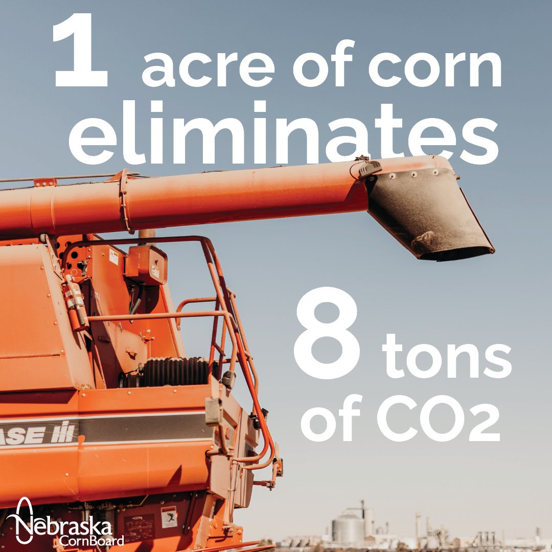 Did you know that corn plants help the environment by filtering carbon dioxide out of the air? One acre of corn eliminates around 8 tons of carbon dioxide! From the corn crop in Nebraska alone, around 76.8 million tons of carbon dioxide are removed from the air each year. #NECorn