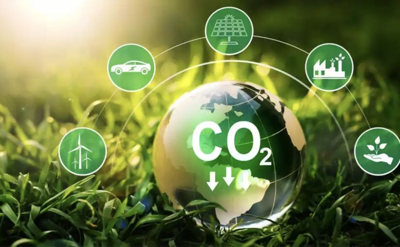 Mozambique’s green contribution with 64 projects to tackle carbon footprint clubofmozambique.com/news/mozambiqu… #Mozambique #Moçambique