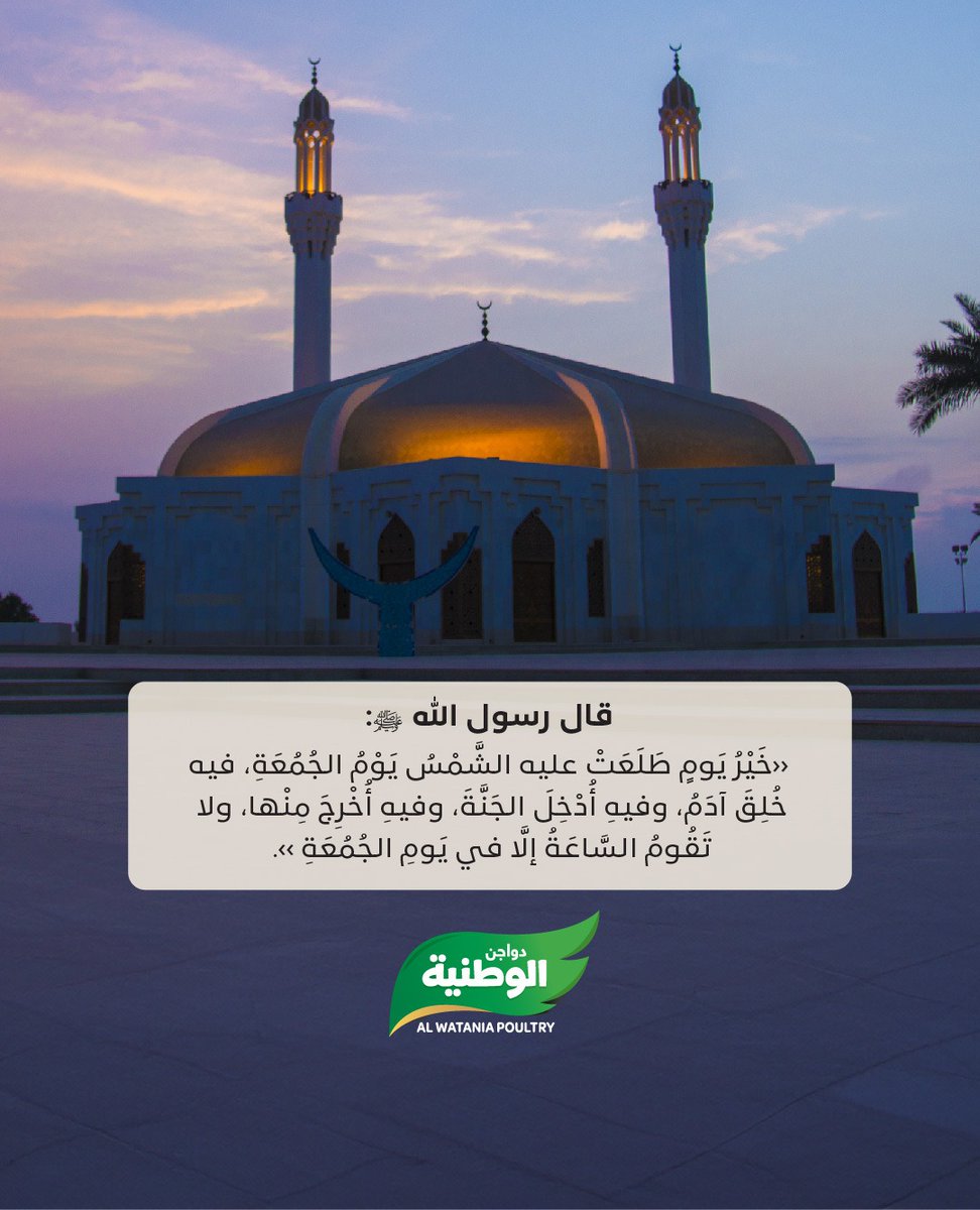 دواجن الوطنية tweet media