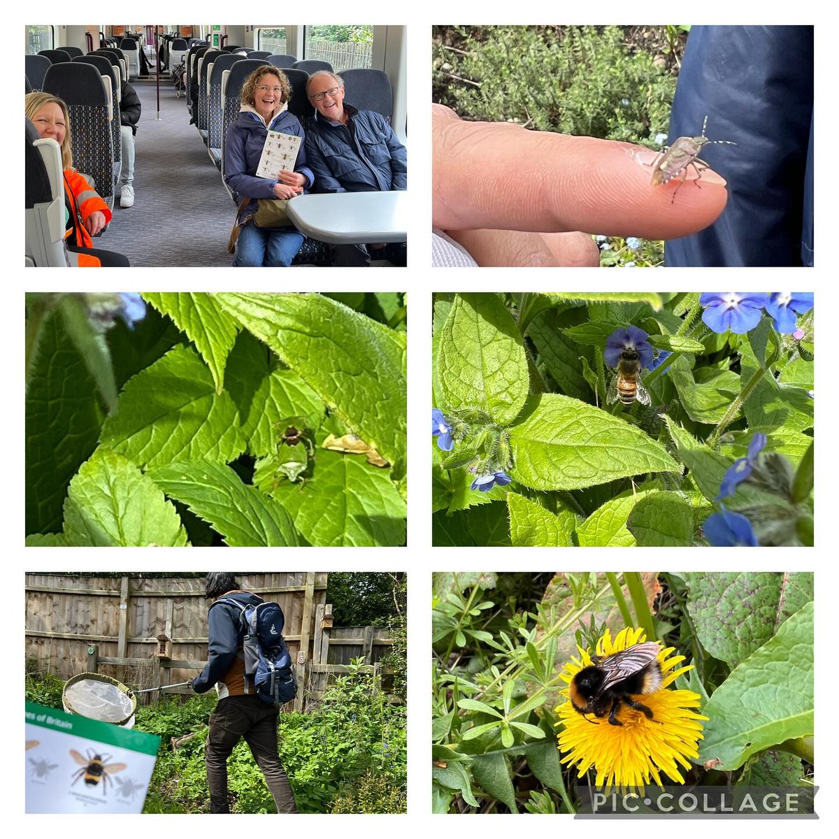 The Town Council has supported <a href="/friendsofWGts/">friendsofwyldegreents</a>  through its community grant scheme to deliver a project that raises awareness of the importance of bees in our eco system 🐝

As part of that, volunteers are delivering educational talks to local groups and residents 🤝