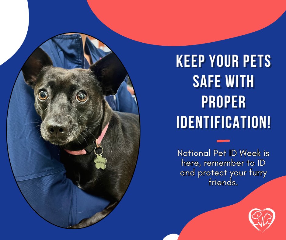 It's National Pet ID Week! Keep your fur babies safe. 🐶😊