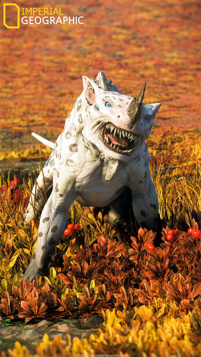 Imperial Geographic tweet media