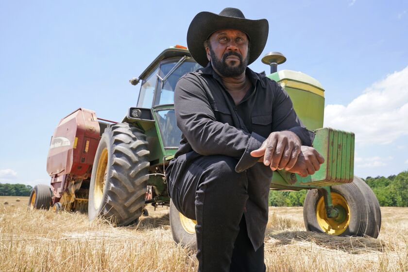 “Echoes in the Soil: An Ode To Black Farmers”
In the crescent shadow of dawn,
beneath the weary gaze of ancestors,
my hands—dark as the rich earth,
press into the belly of the land,
sowing seeds of resilience.

My father's father tilled this sacred soil,
furrows deep as…