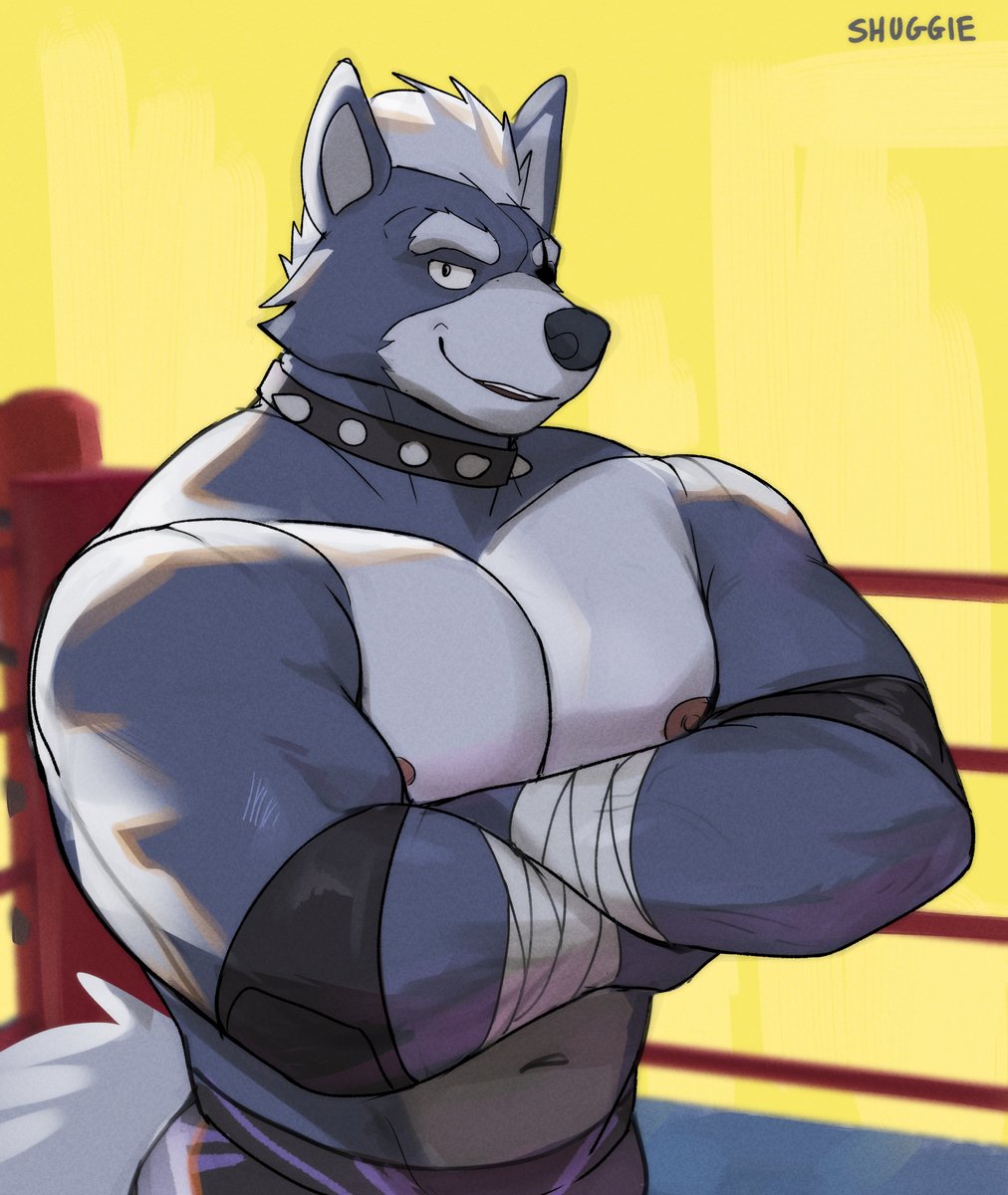 Wolf but as a wrestler