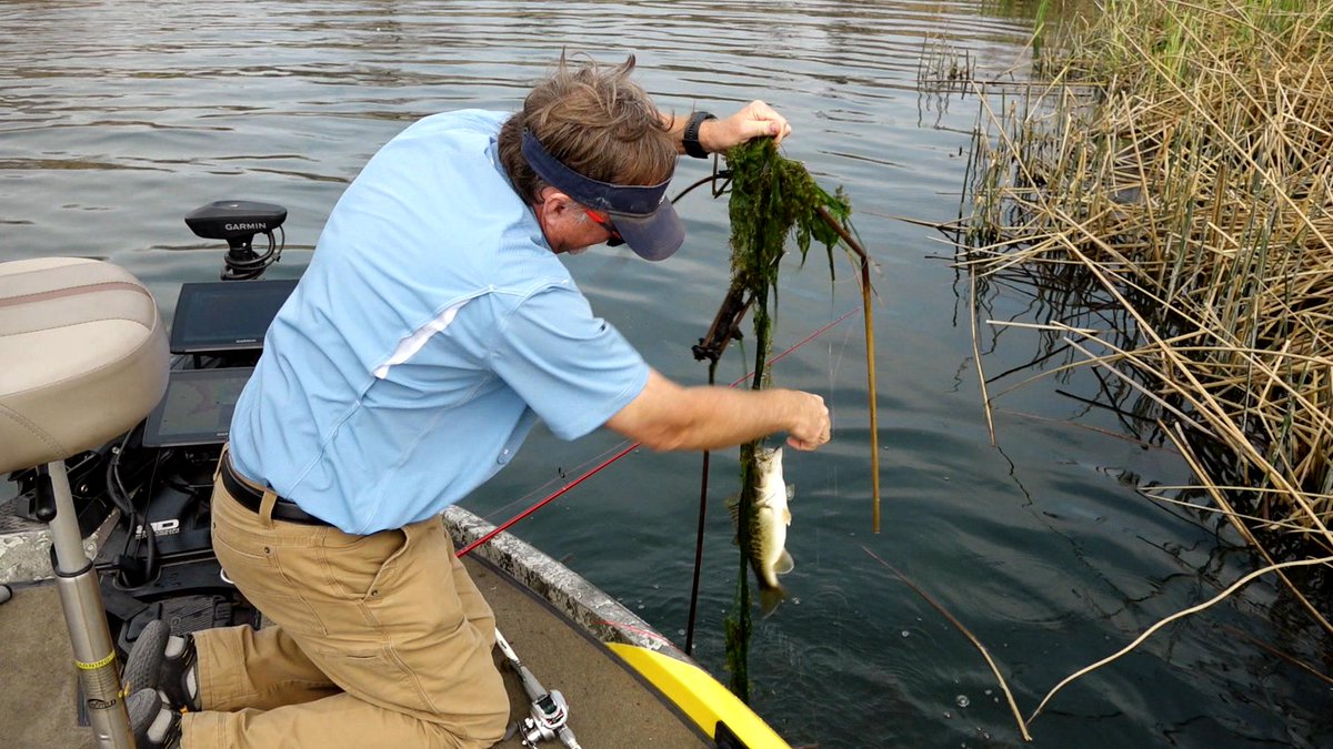 FishHandbook's tweet photo. And folks, that's why you throw @SunlineAmerica! This bass got caught up in the slop and the combination of Almight and FC Sniper worked together to get the fish in the boat!
#BassProShops #RangerBoats #FishGarmin #SunlineAmerica #Almight #FCSniper #Fishing #BassFishing https://t.co/wAsHotFwGj