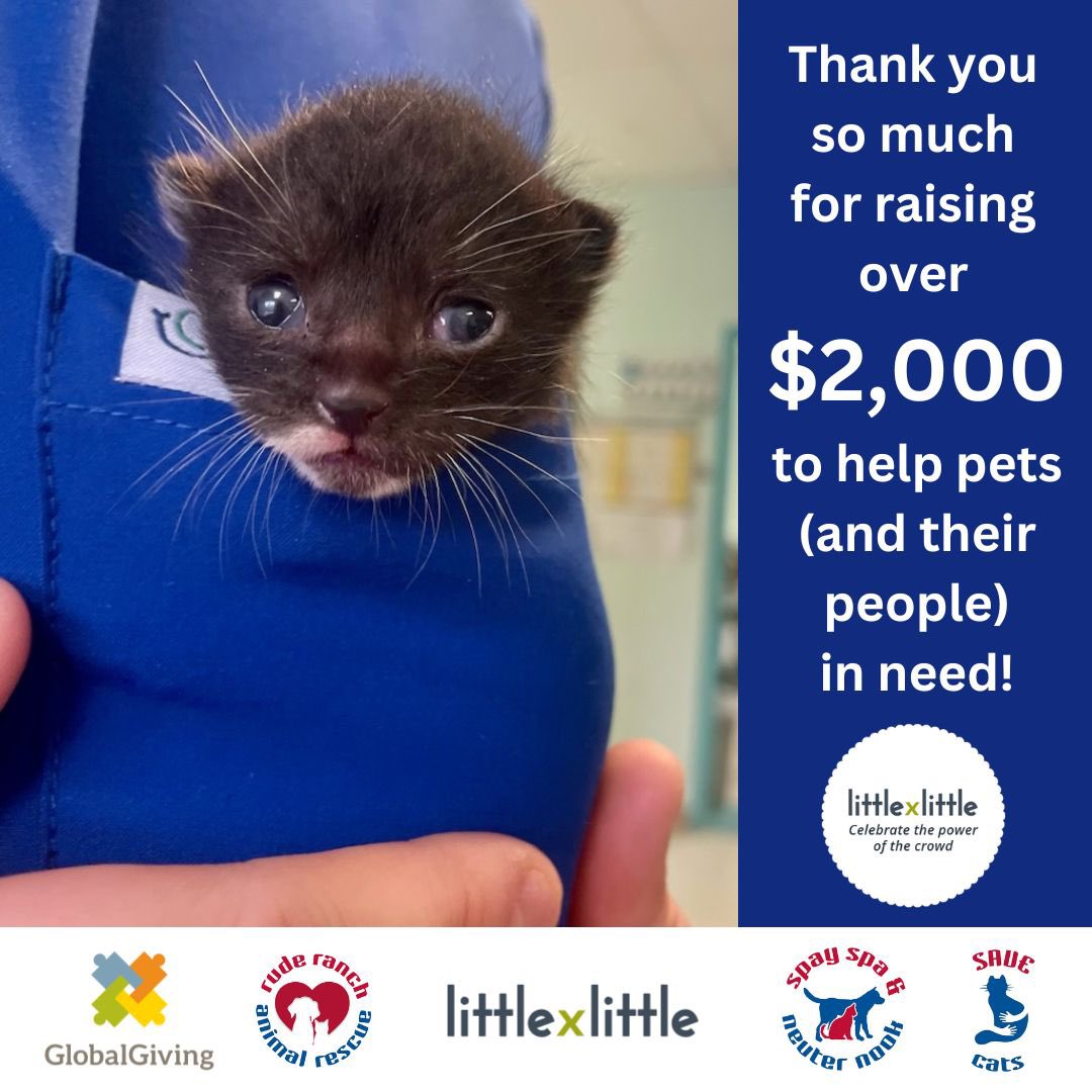 A HUGE #ThankfulThursday thank you to everyone who shared and donated to Spay Spa & Neuter Nook and the other Rude Ranch initiatives for the #LittleByLittle matching campaign by @GlobalGiving last week! We had hoped to hit $1,000. Instead, you blew right past that, with over…