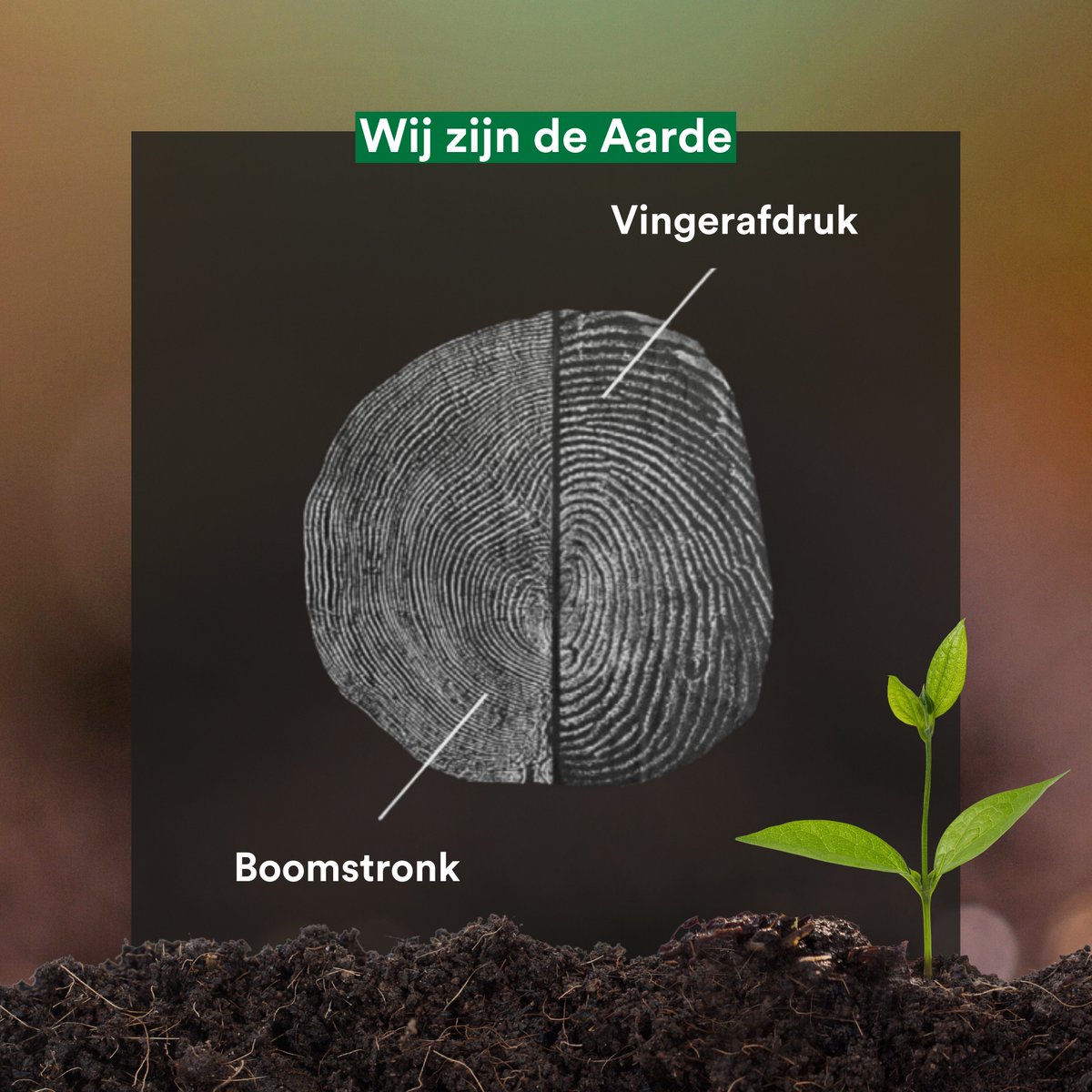 Mensen zijn 0,01% van al het leven op Aarde, maar richten wel de grootste ravage aan. We hebben de Aarde nodig: frisse lucht, schoon water en rijke bodem voor het verbouwen van voedsel. Als we goed voor de Aarde zorgen, zorgen we eigenlijk goed voor onszelf!💚 #EarthDay2024