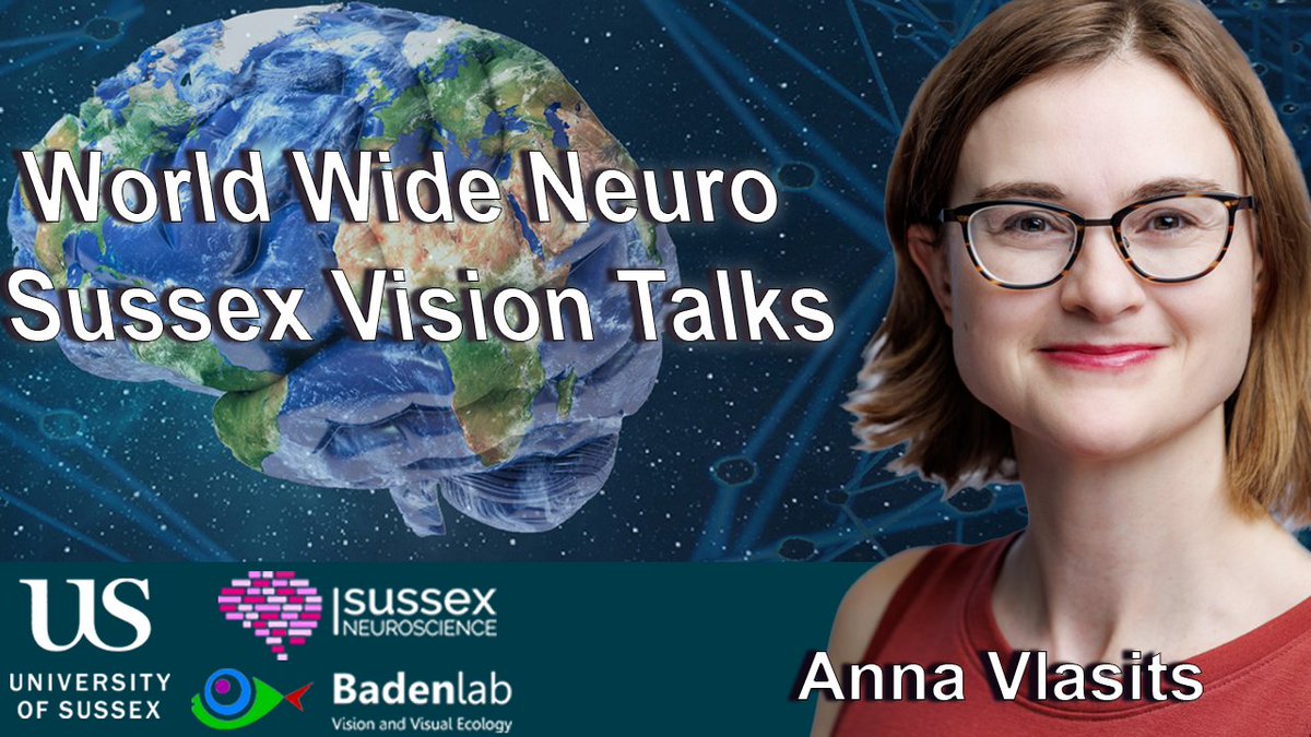 Monday, April 29th: Elated to be continuing our Sussex Vision series within @worldwideneuro with @AnnaIntegrated talking about 'Inhibition in the retina'! @NeuroFishh Here: youtube.com/watch?v=inyC8B…
